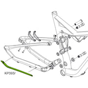Habit Carbon ChainStay Protector