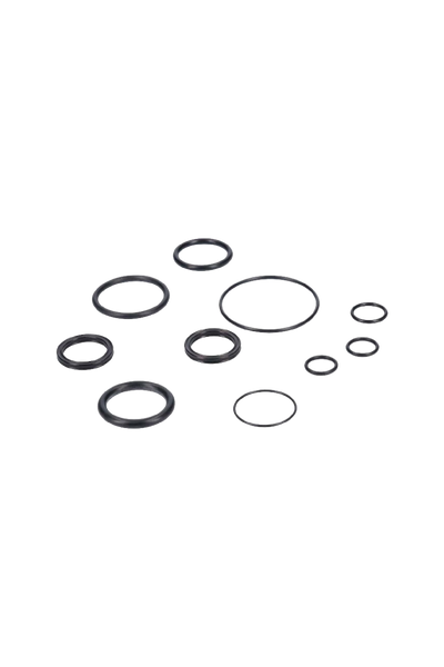 Kit de Sellos Cannondale Lefty ISO 100 Horas